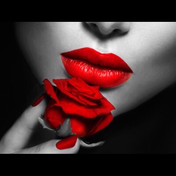 Meet your Posher, Gigi - Picture 4 of 4